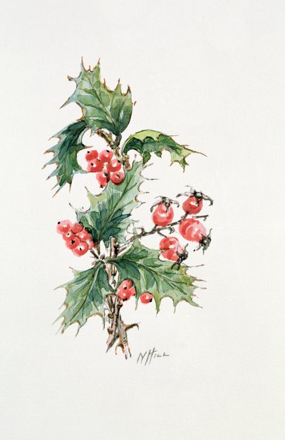 Holly and Rosehips by Nell Hill